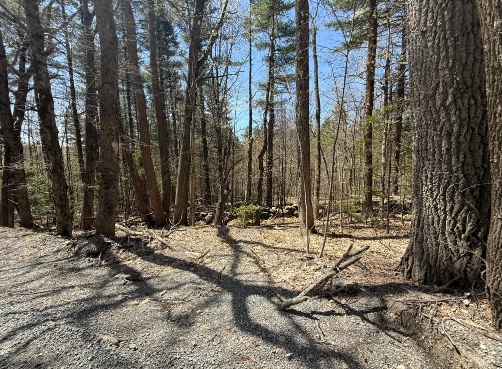 189 North Street Dover VT 05431