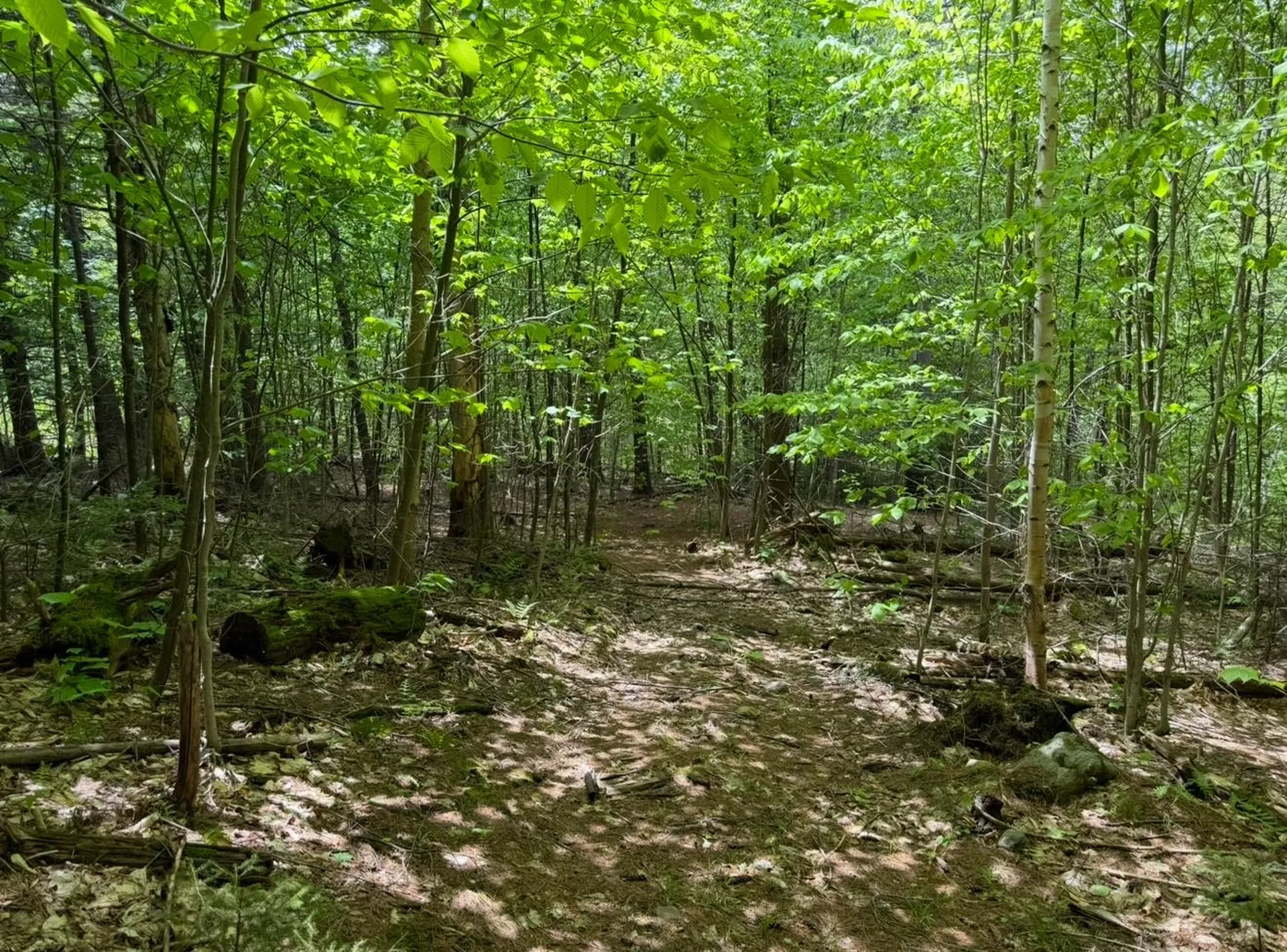 189 North Street Dover VT 05431