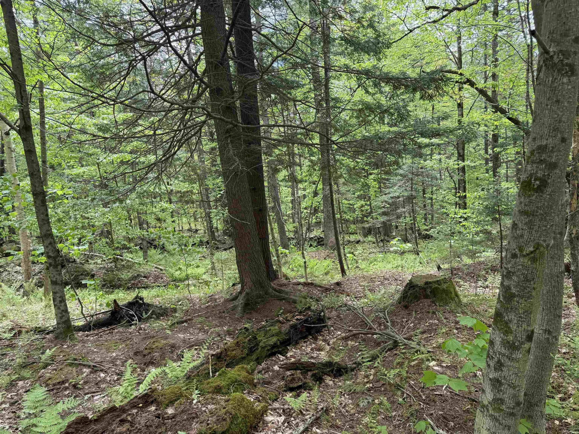 189 North Street Dover VT 05431