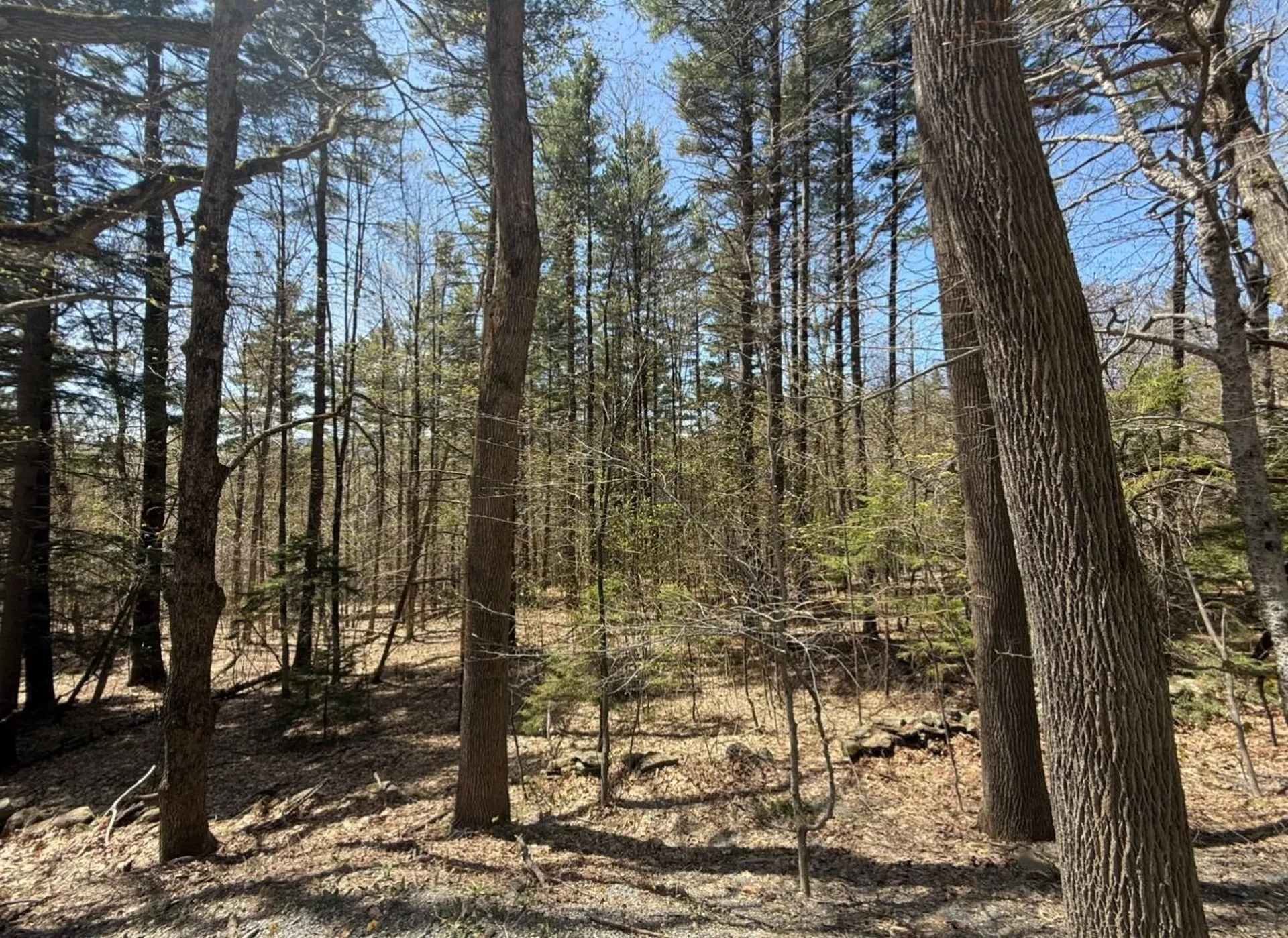 189 North Street Dover VT 05431