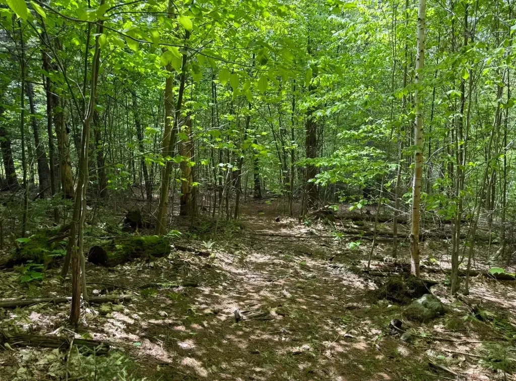 Lot 4 North Street Dover VT 05431