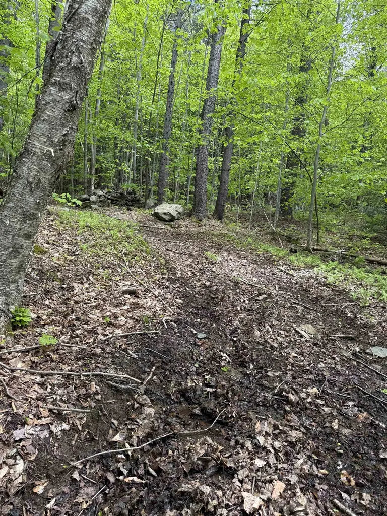 Lot 3 North Street Dover VT 05431