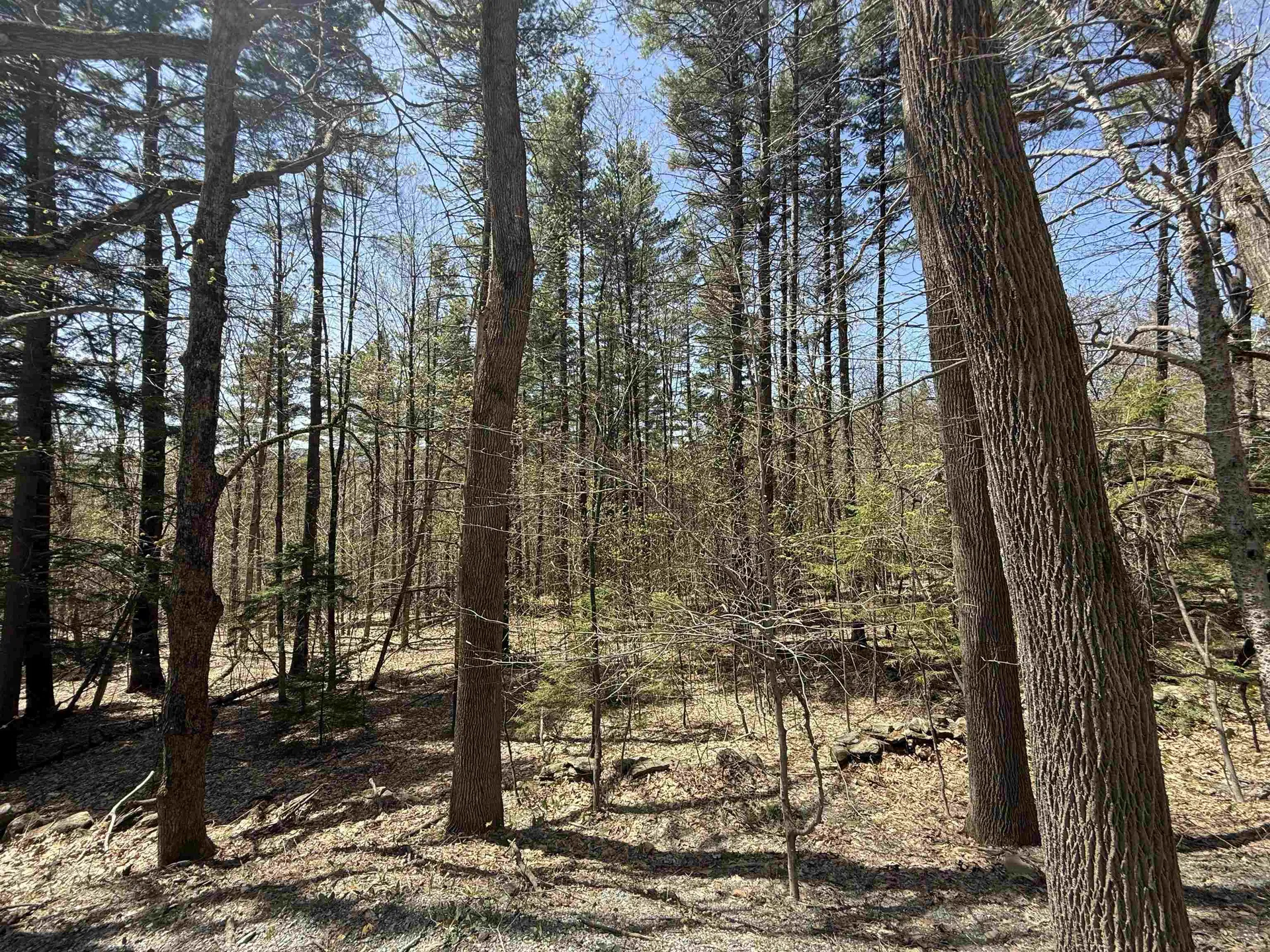 Lot 3 North Street Dover VT 05431