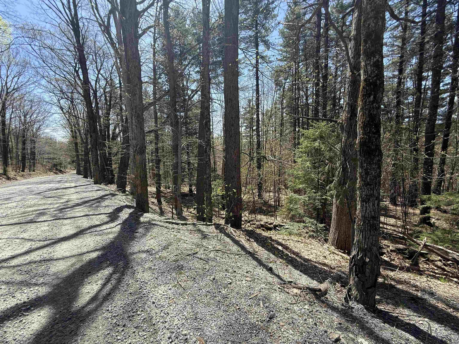 Lot 3 North Street Dover VT 05431