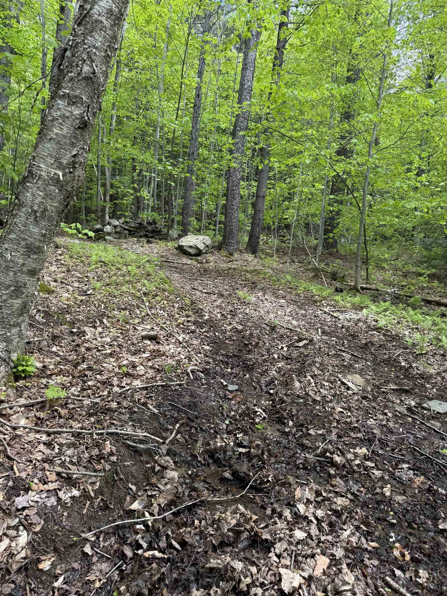 Lot 3 North Street Dover VT 05431