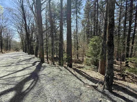 Lot 3 North Street Dover VT 05431