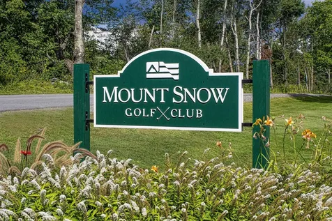 Lot 3 North Street Dover VT 05431