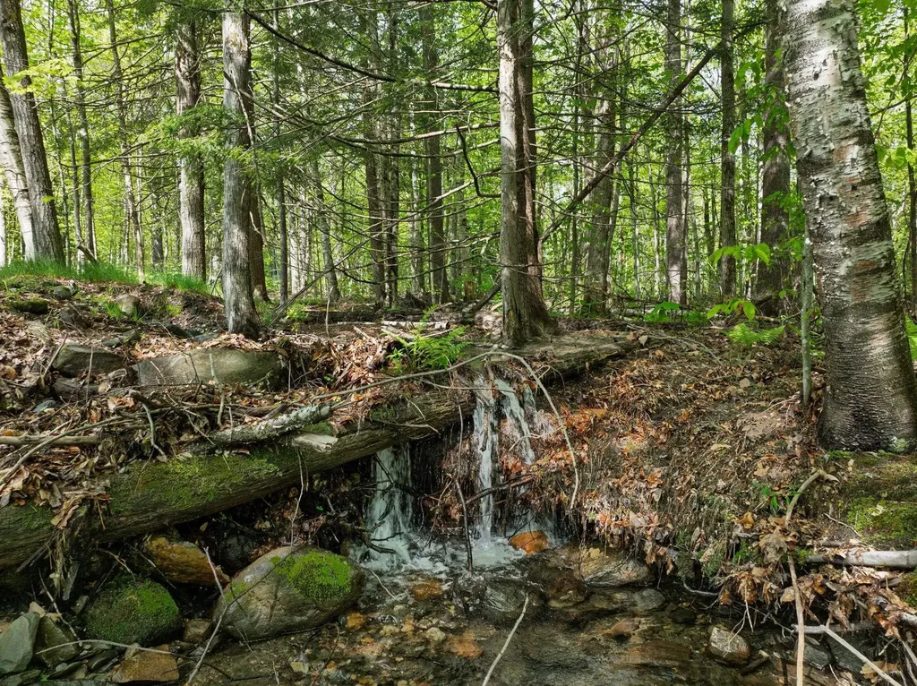 829 Pennel Hill Road Halifax VT 05358