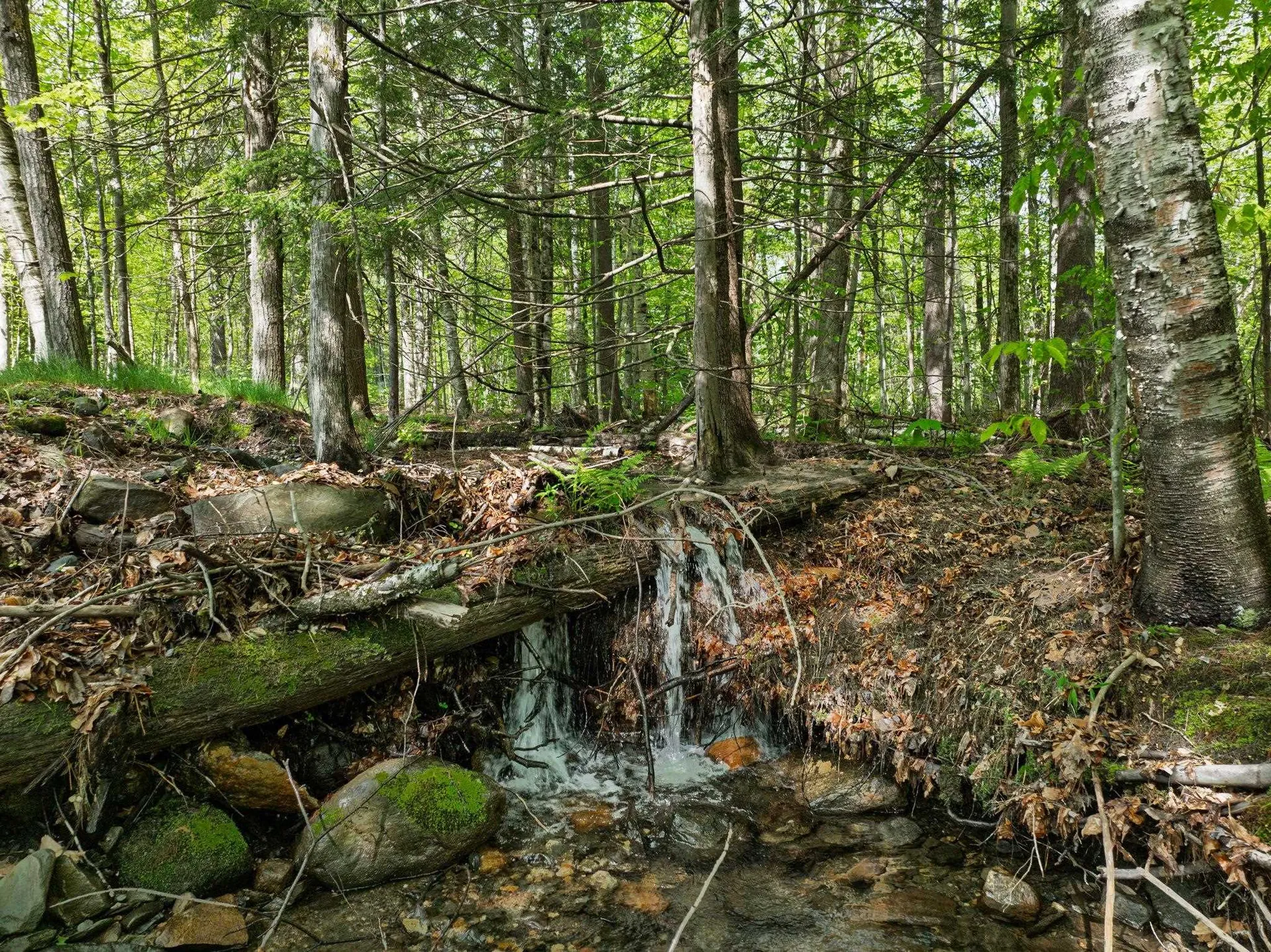 829 Pennel Hill Road Halifax VT 05358