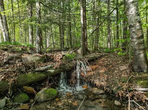 829 Pennel Hill Road Halifax VT 05358