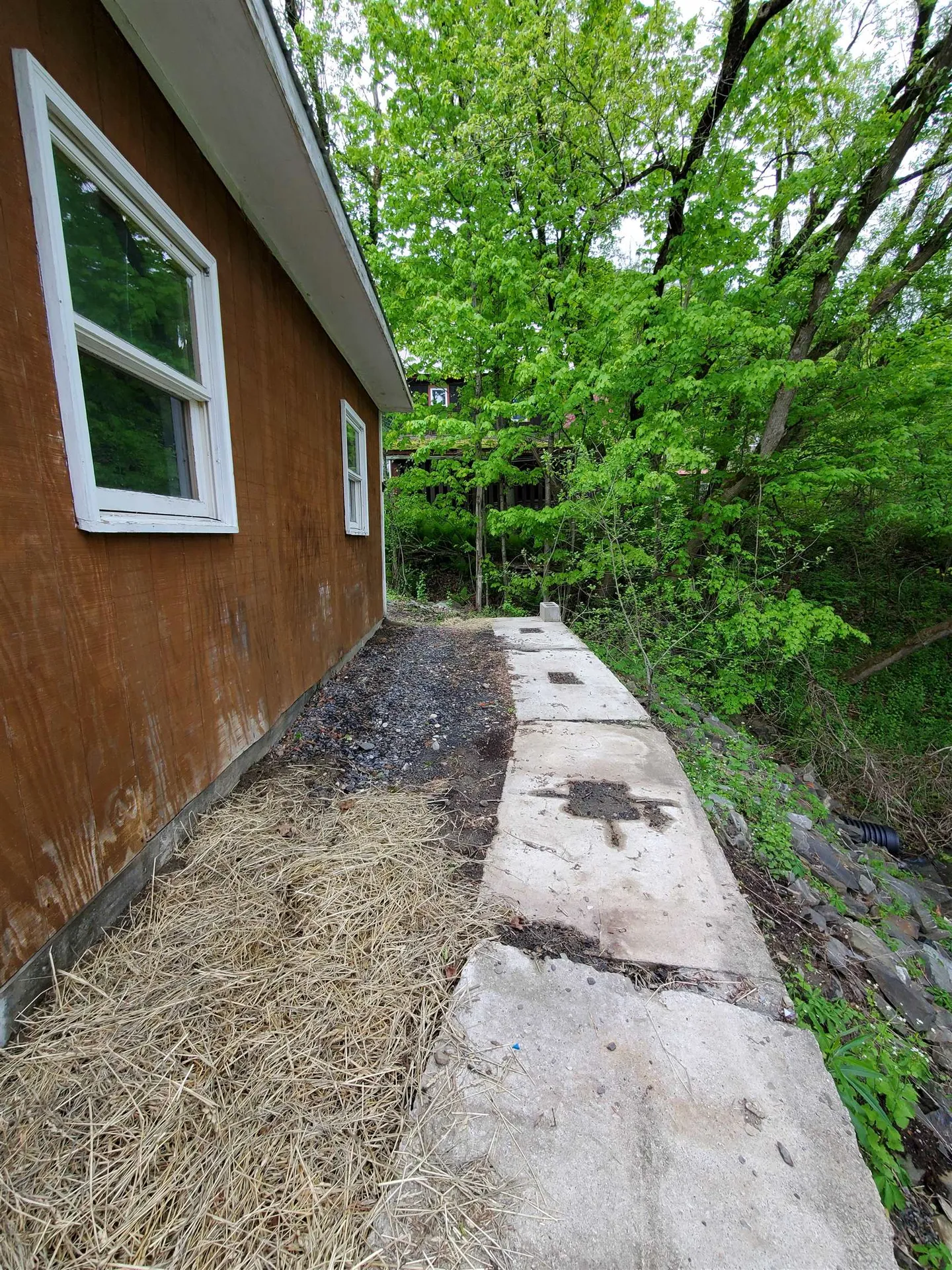 158 Costa Avenue St. Johnsbury VT 05819