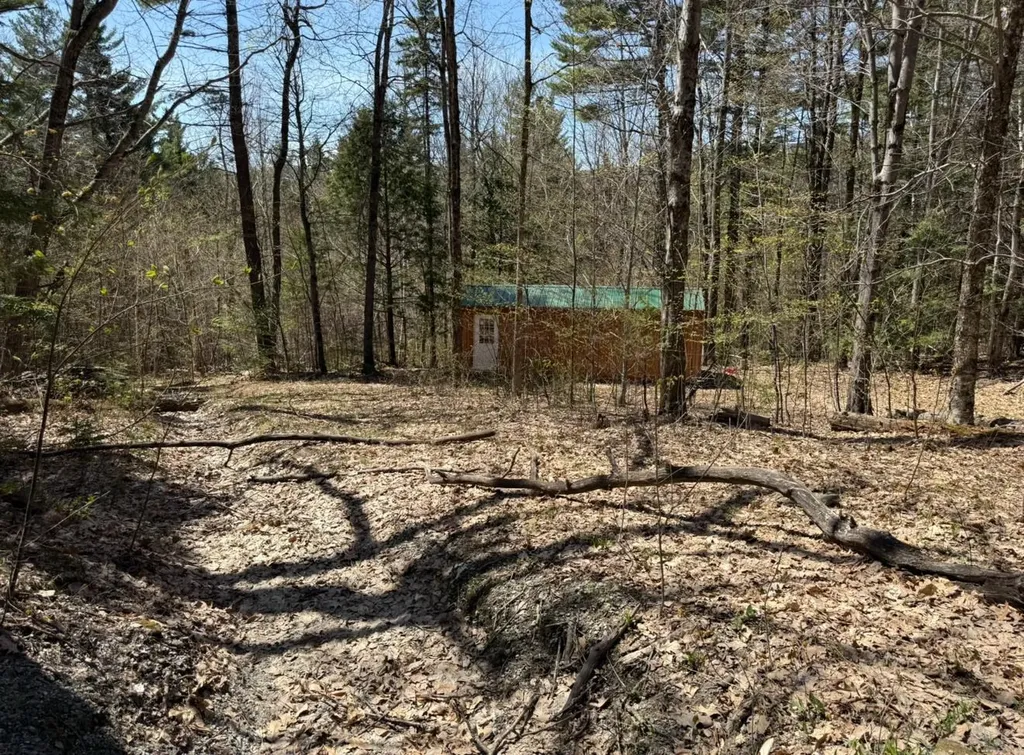 Lot 2 North Street Dover VT 05431