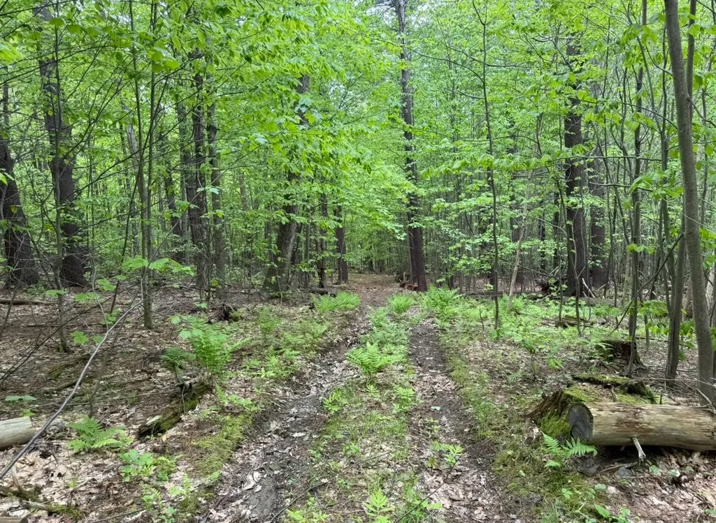 Lot 2 North Street Dover VT 05431