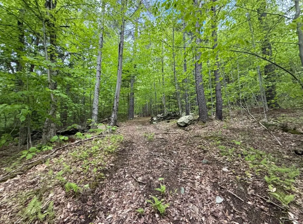 Lot 2 North Street Dover VT 05431