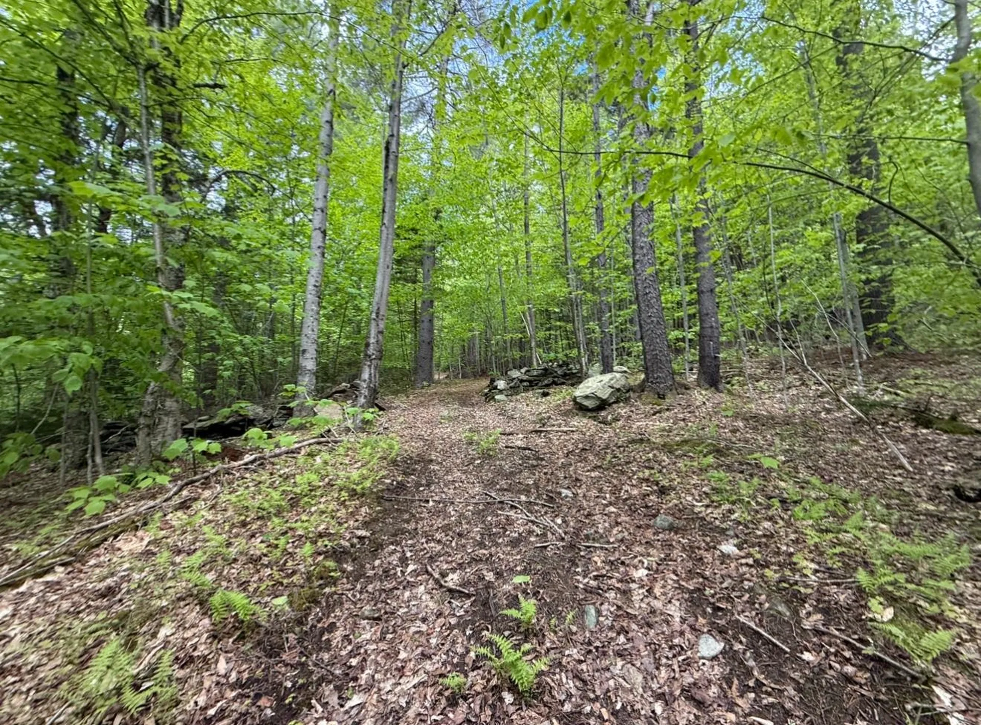 Lot 2 North Street Dover VT 05431