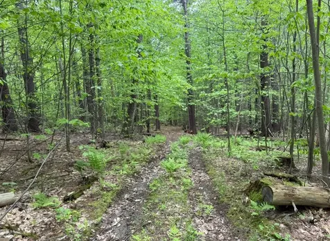 Lot 2 North Street Dover VT 05431