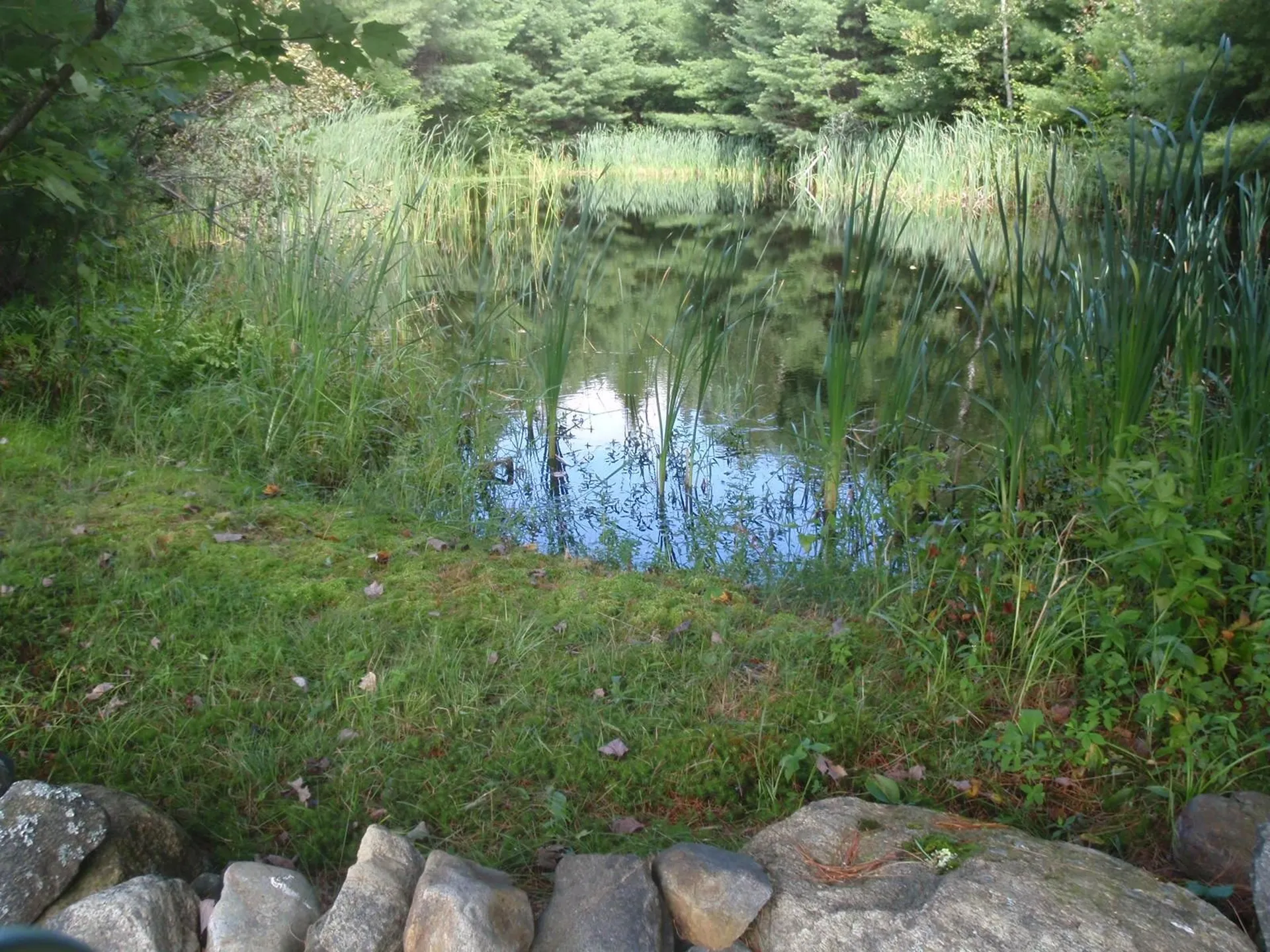 7 Lunar Drive Canaan NH 03741