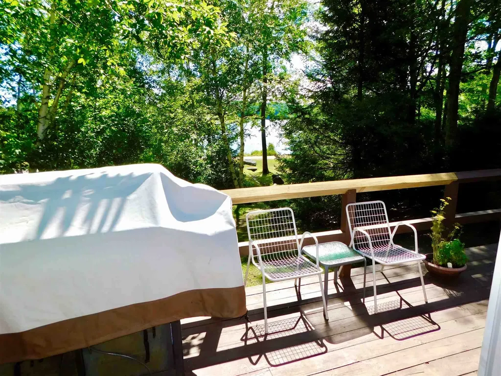 43 Old Beach Circle Grantham NH 03753