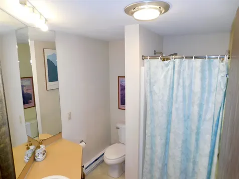 43 Old Beach Circle Grantham NH 03753