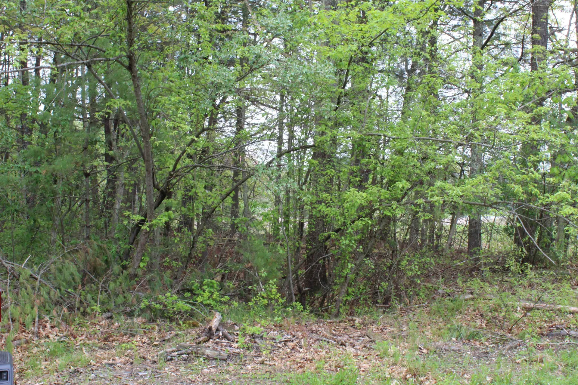 6-18 Mary Anthony Drive Salem NH 03044