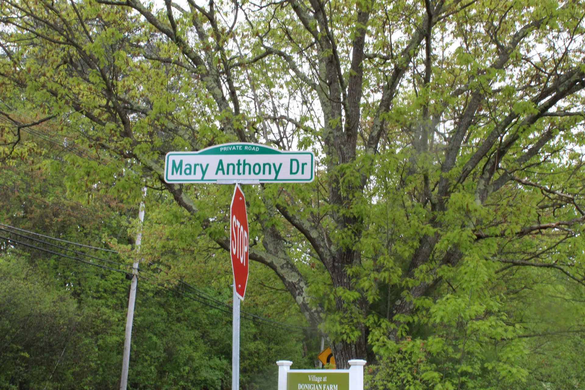 6-18 Mary Anthony Drive Salem NH 03044