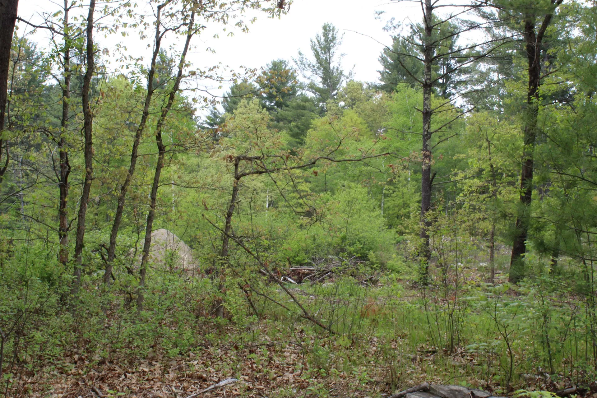 6-18 Mary Anthony Drive Salem NH 03044