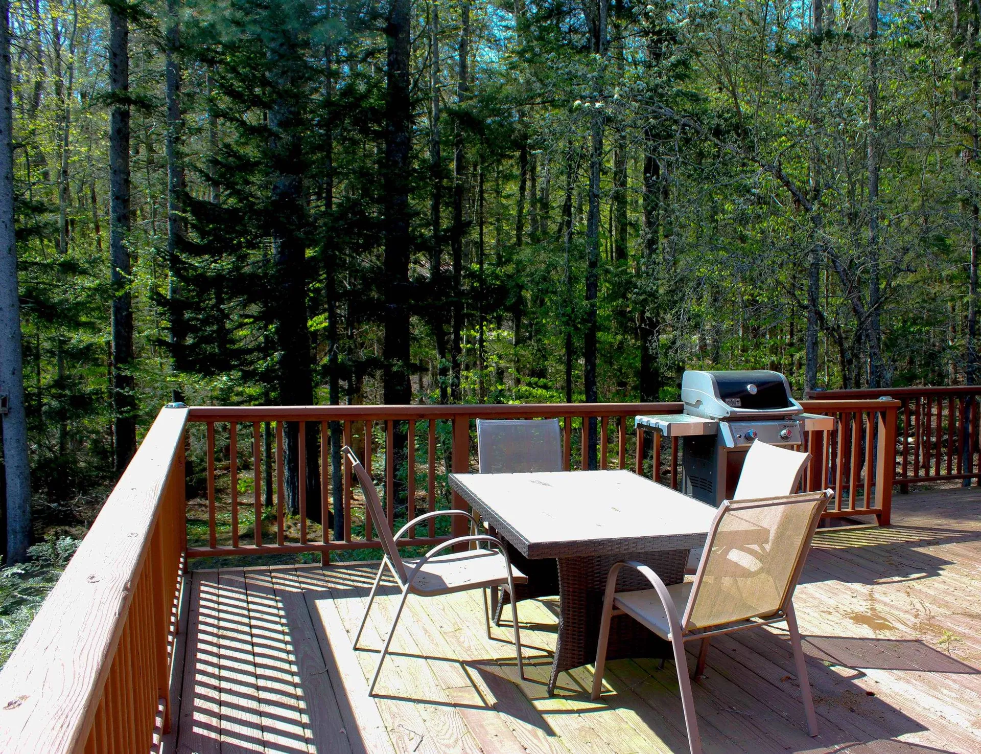 238 Hemlock Hill Road Wardsboro VT 05355