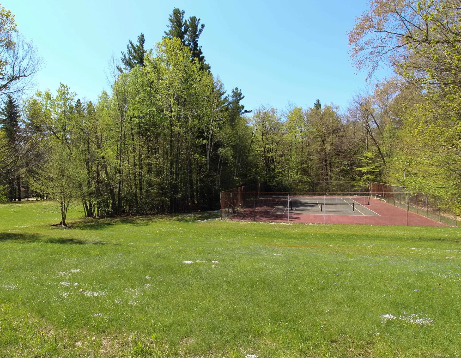 238 Hemlock Hill Road Wardsboro VT 05355
