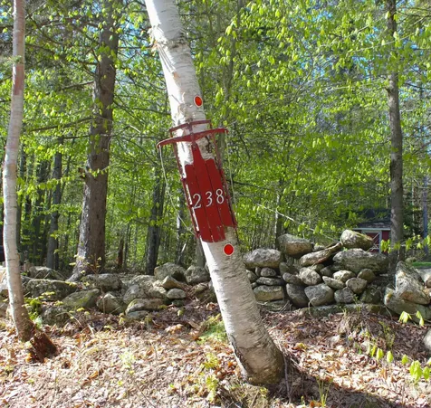 238 Hemlock Hill Road Wardsboro VT 05355