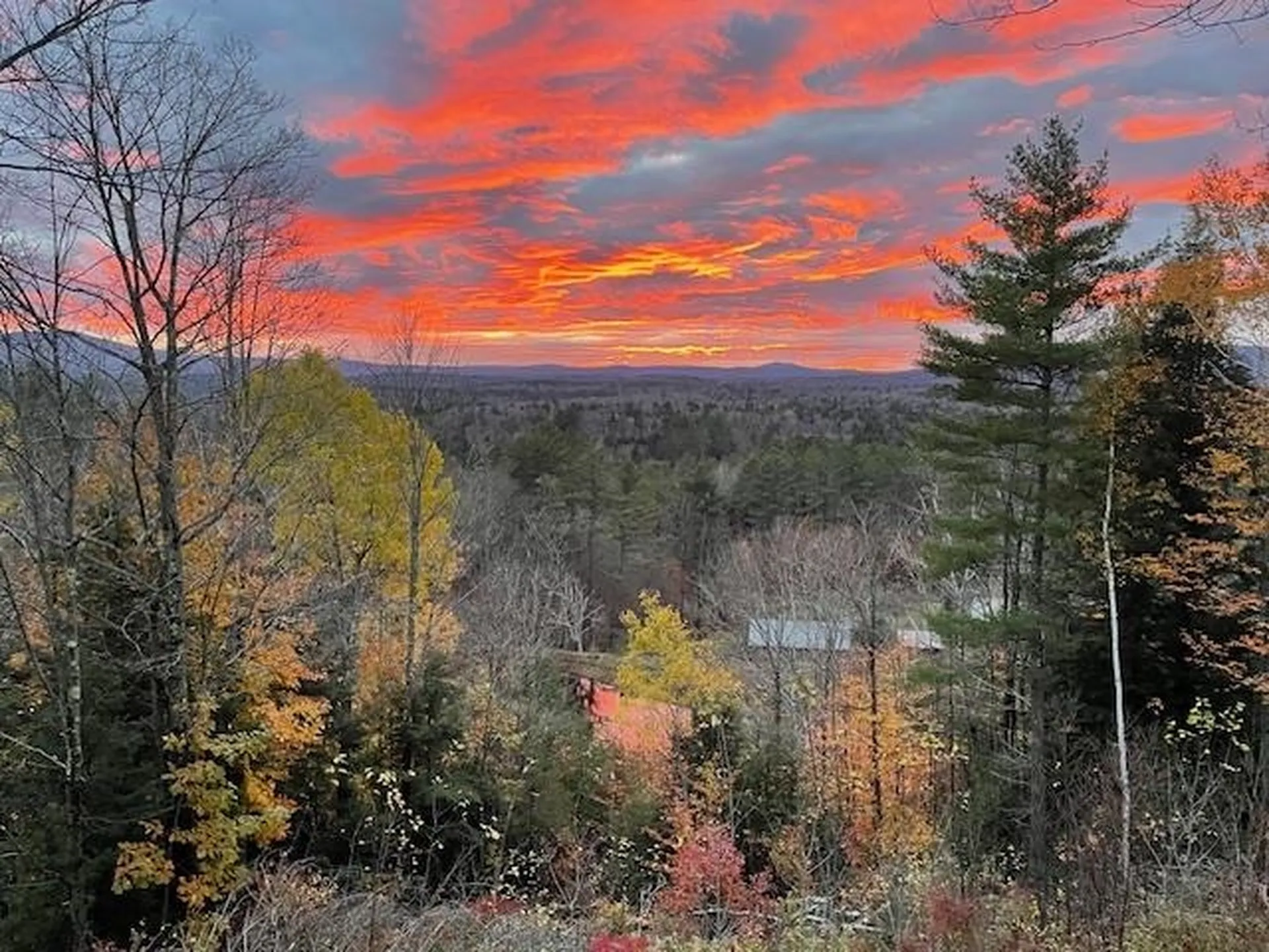 359 Chaves Road Londonderry VT 05148