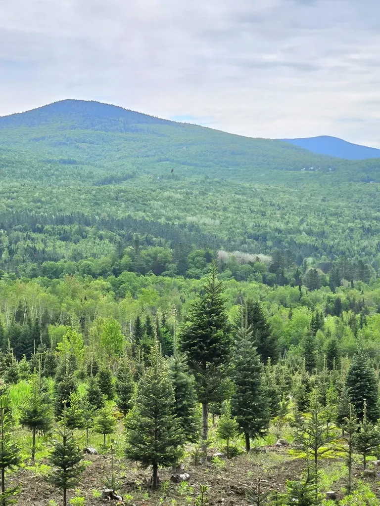 374 Crank Road Bloomfield VT 05905