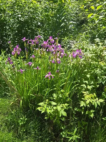 374 Crank Road Bloomfield VT 05905