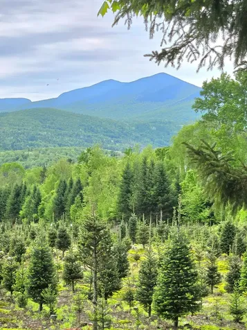 374 Crank Road Bloomfield VT 05905