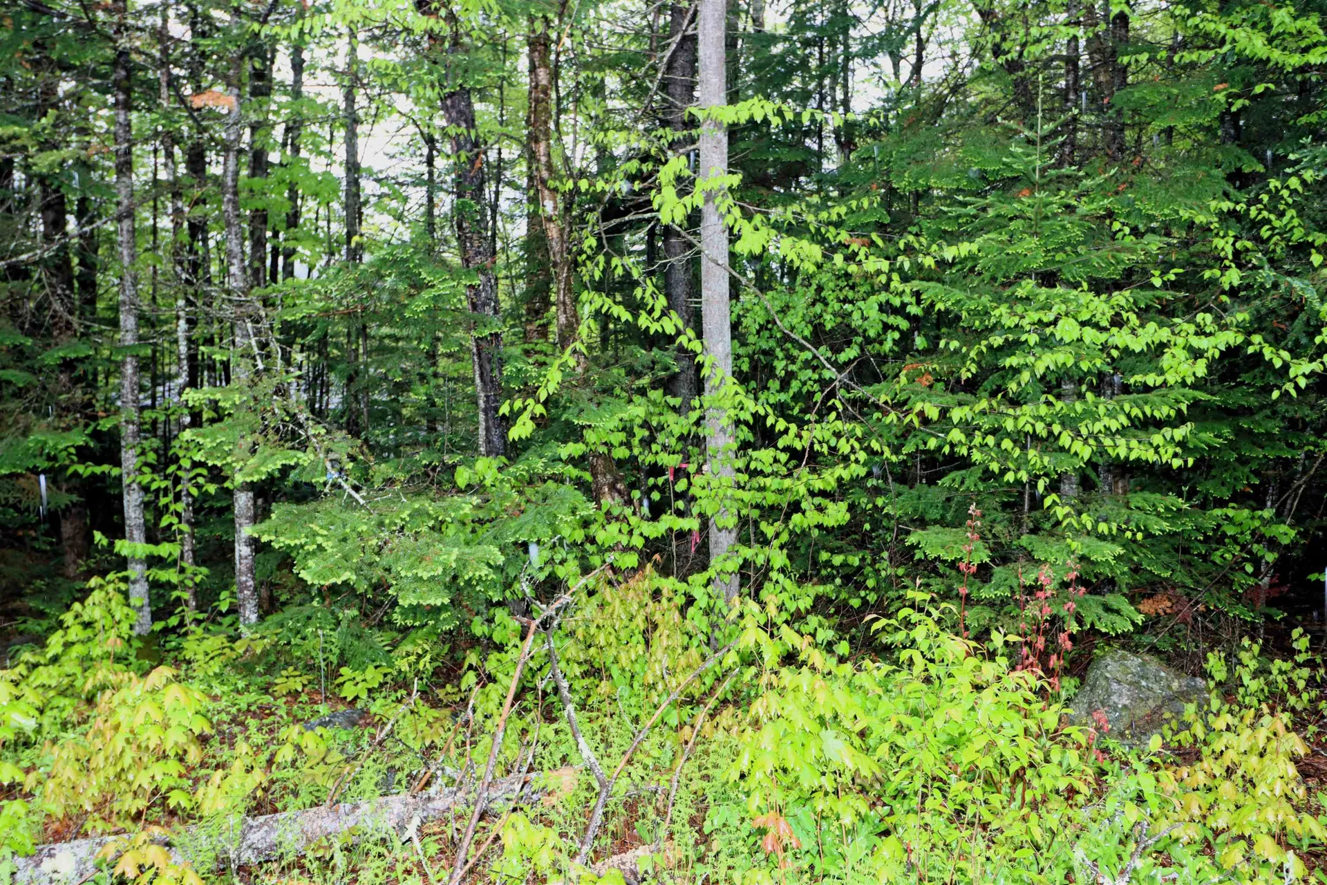 00 West Milan Road Milan NH 03588