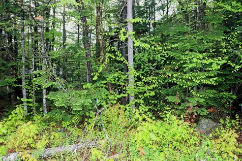 00 West Milan Road Milan NH 03588