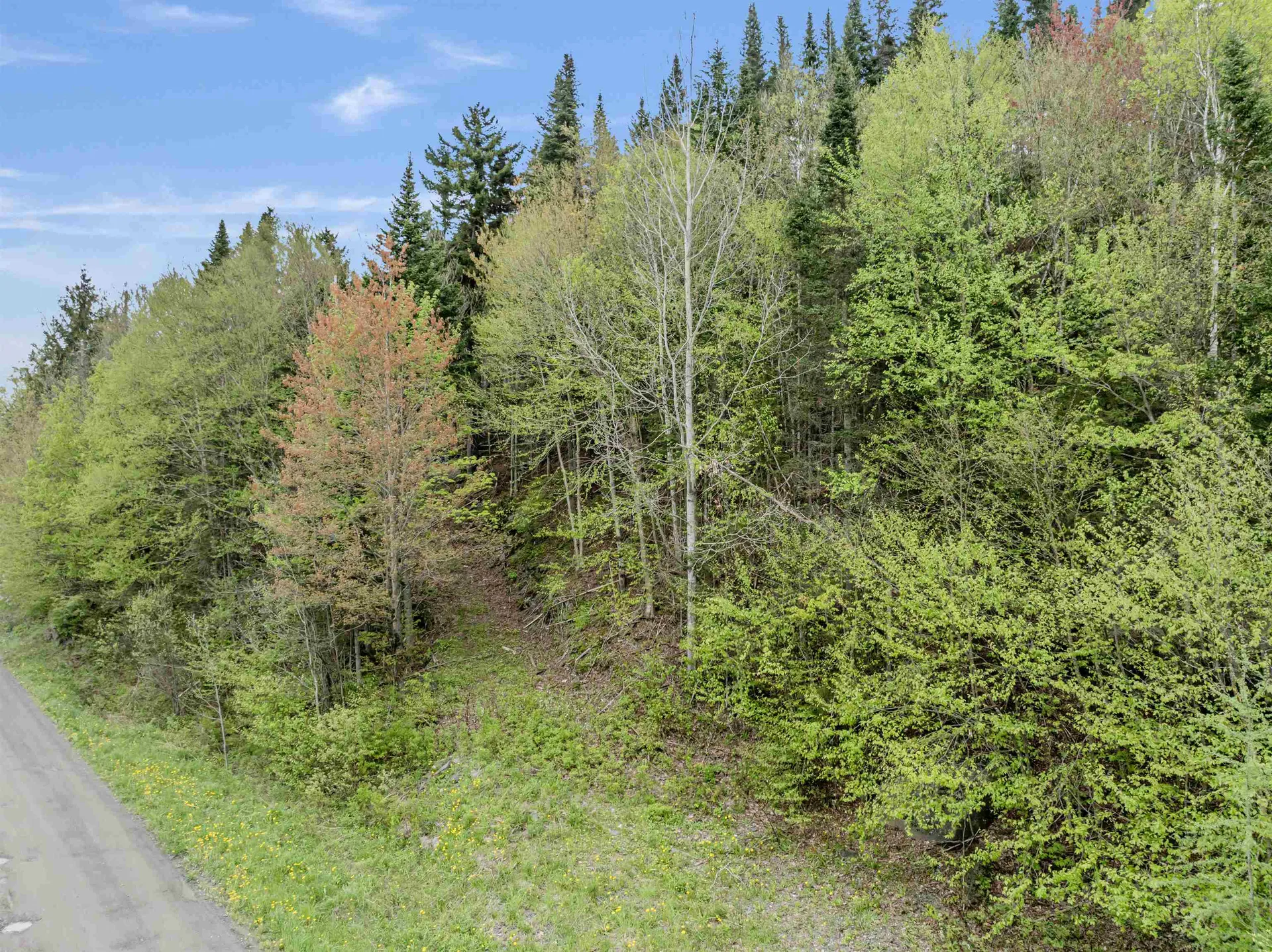 - Halls Stream Road Pittsburg NH 03592