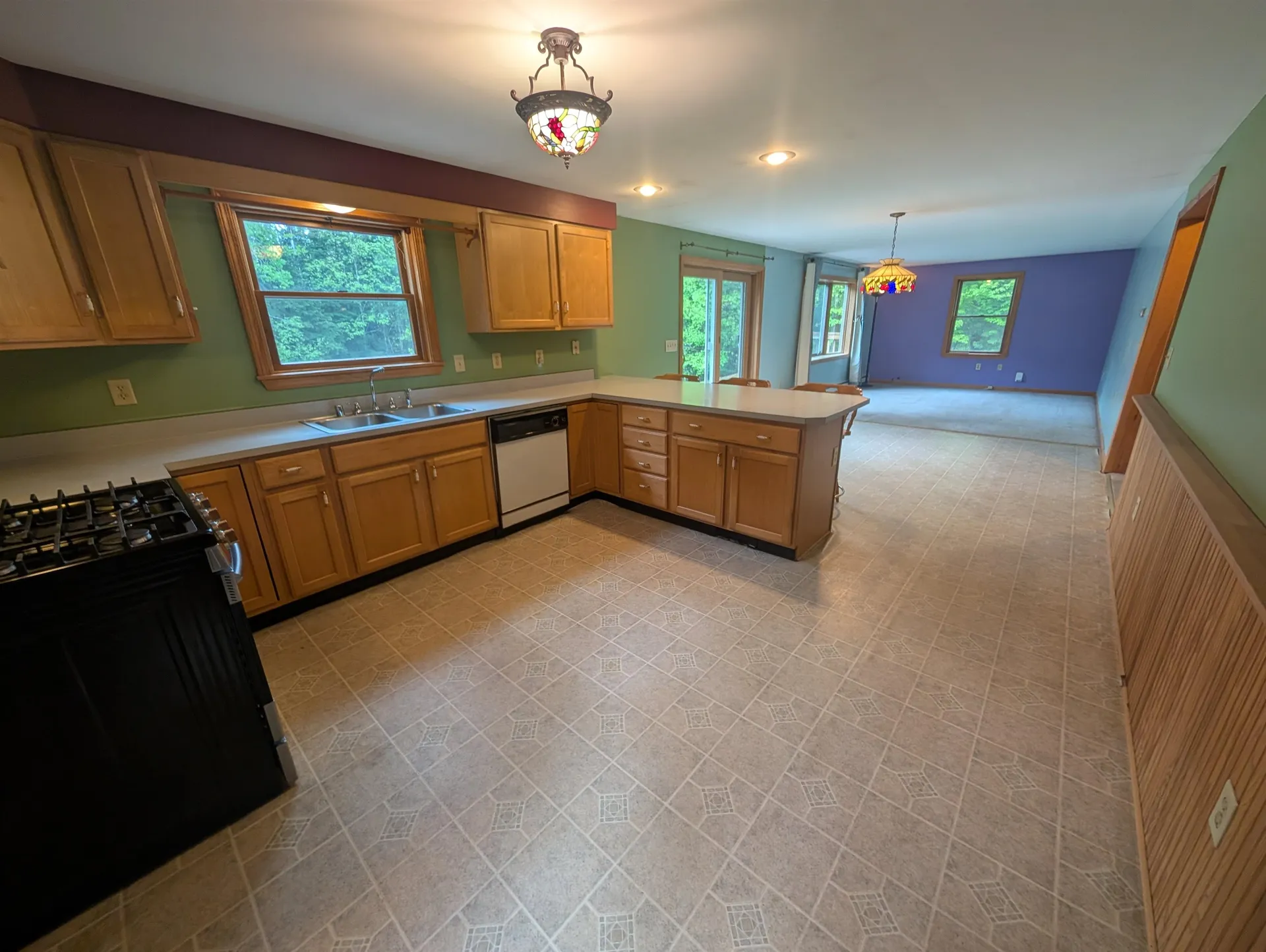 729 Warren Road Eden VT 05652