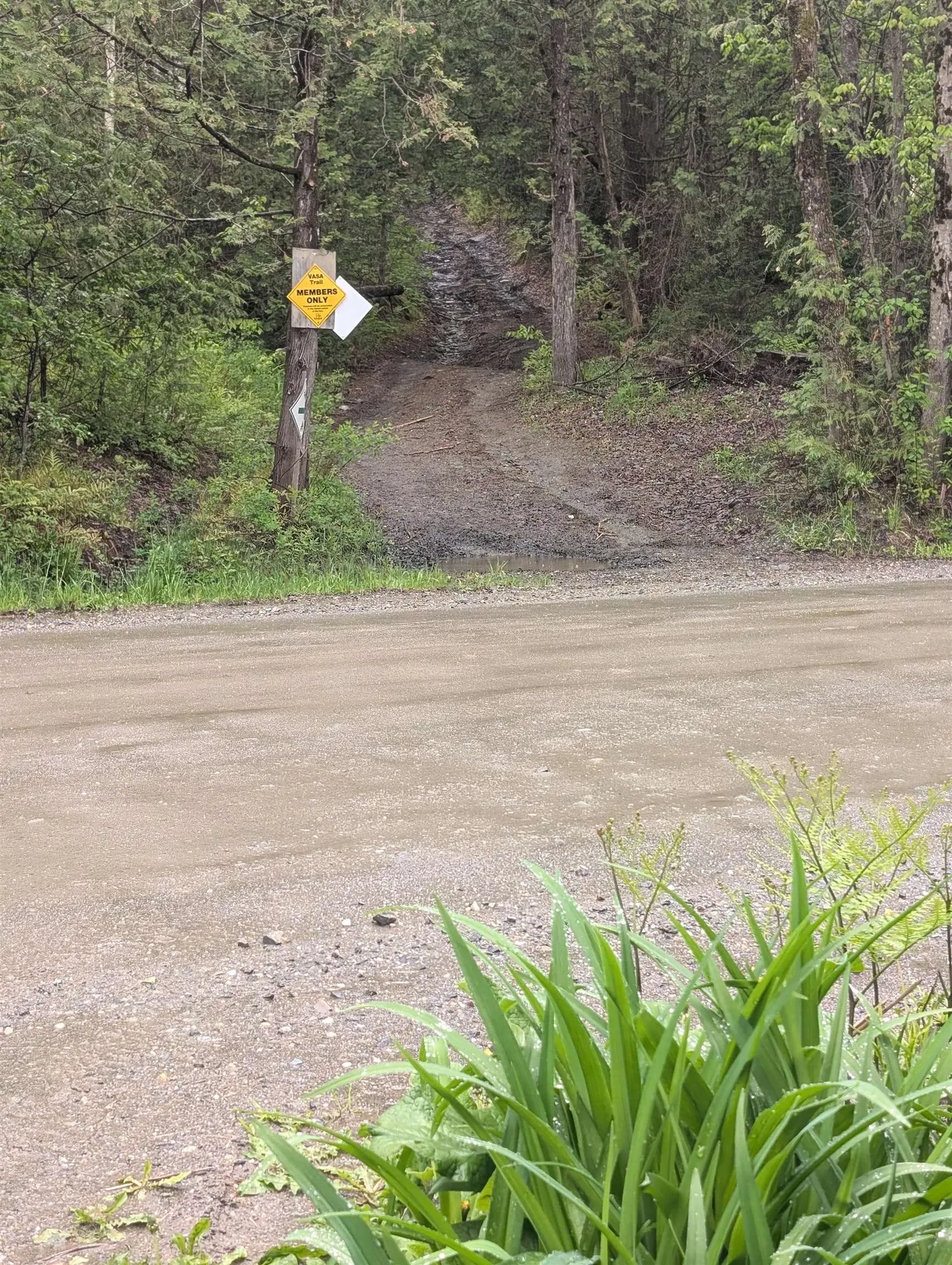 729 Warren Road Eden VT 05652