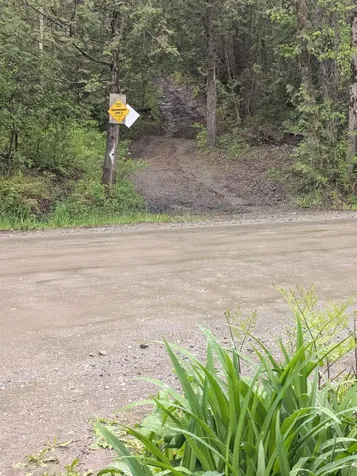 729 Warren Road Eden VT 05652
