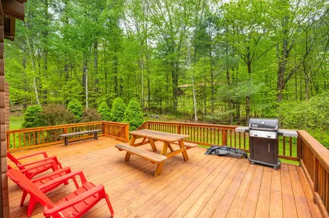 282 Pams Hill Road Wardsboro VT 05355