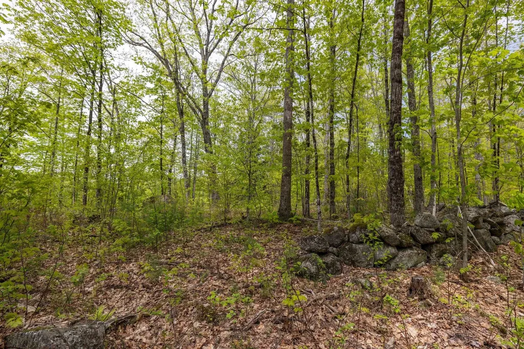 Map 7, Lot 8 Patterson Road Wilmot NH 03287