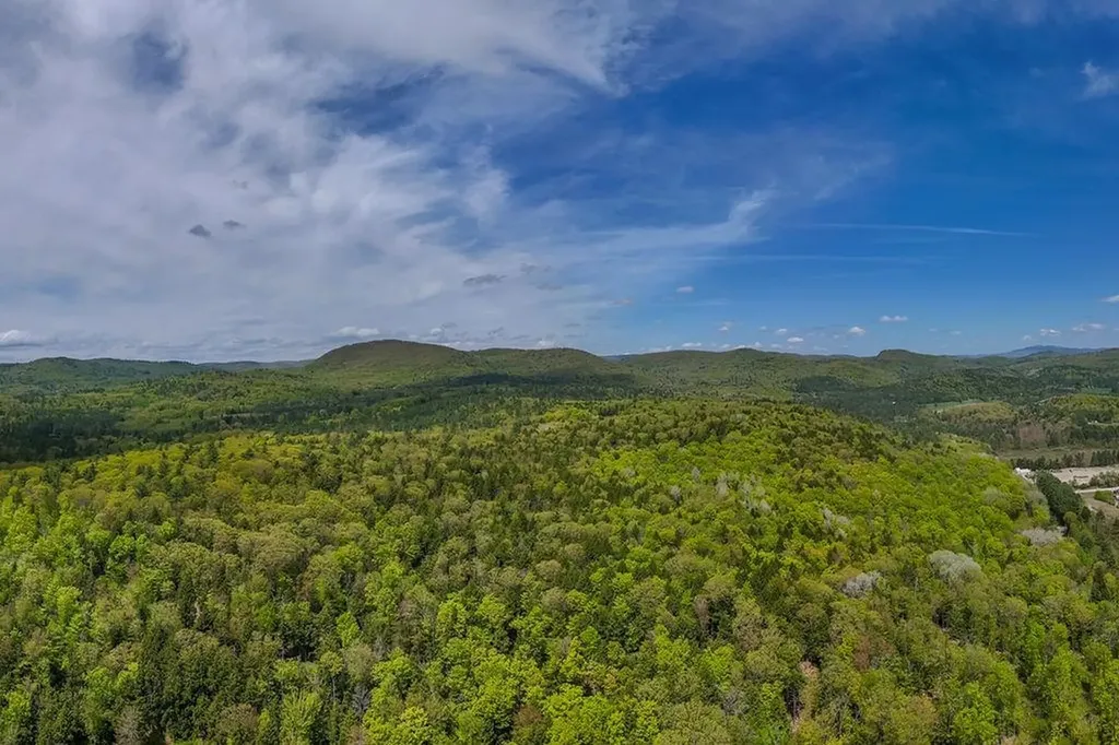Map 7, Lot 8 Patterson Road Wilmot NH 03287