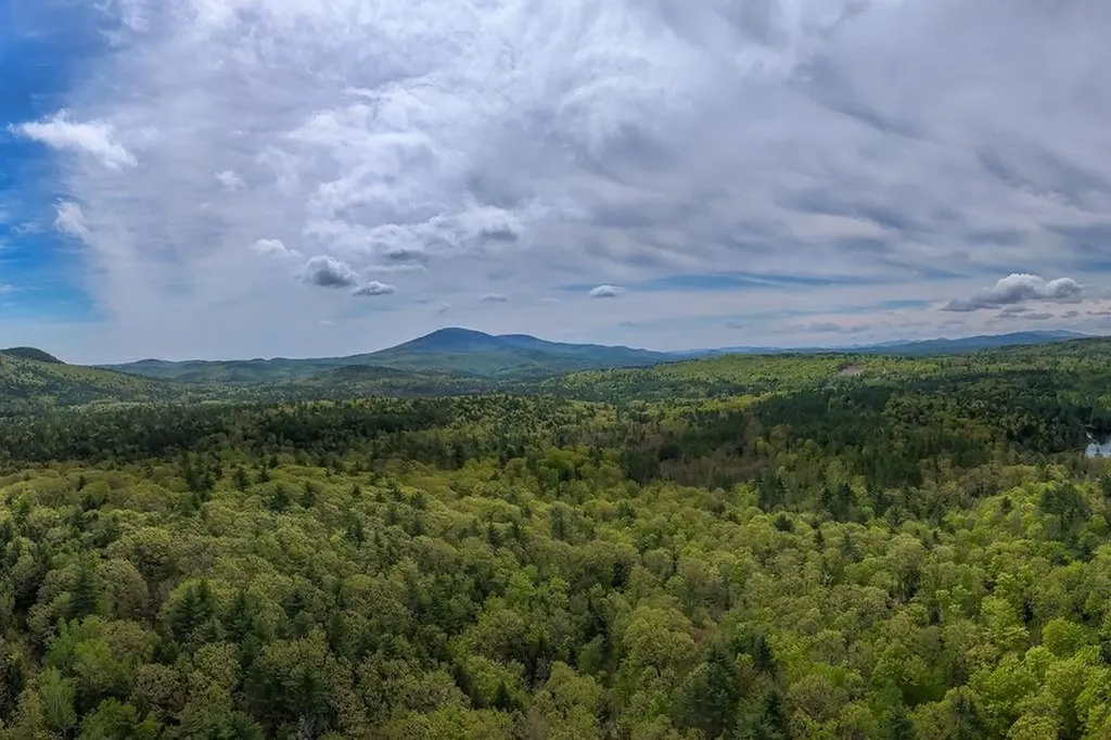 Map 7, Lot 8 Patterson Road Wilmot NH 03287