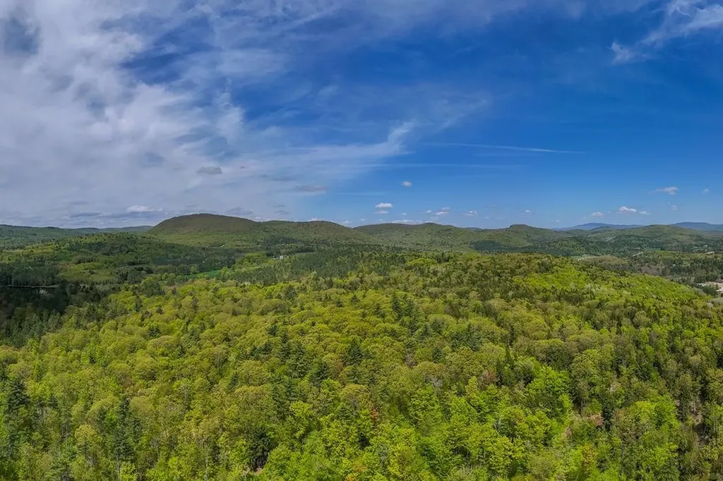 Map 7, Lot 8 Patterson Road Wilmot NH 03287