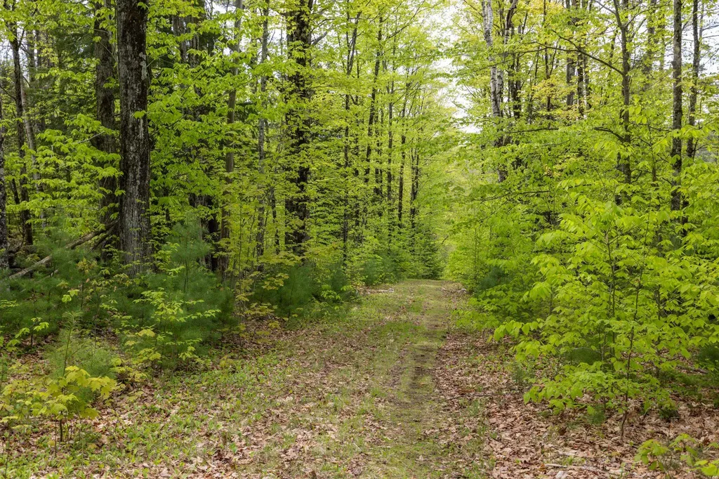 Map 7, Lot 8 Patterson Road Wilmot NH 03287