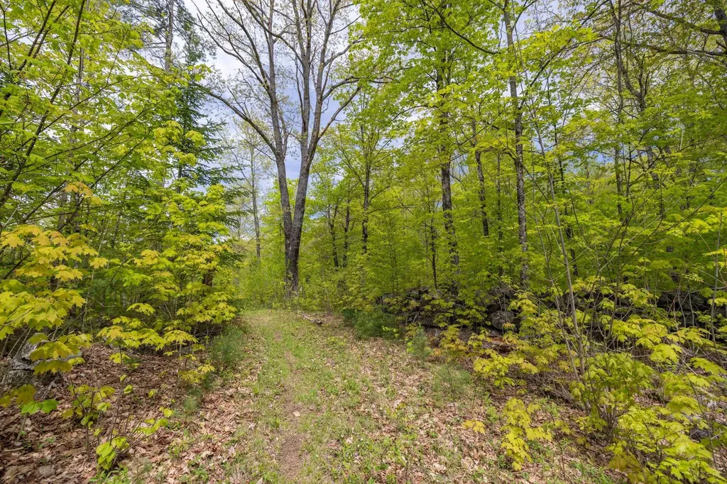 Map 7, Lot 8 Patterson Road Wilmot NH 03287