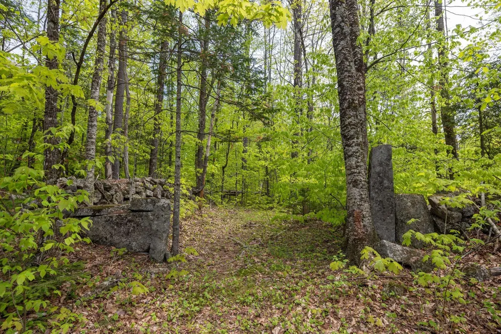 Map 7, Lot 8 Patterson Road Wilmot NH 03287