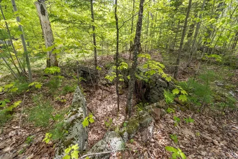 Map 7, Lot 8 Patterson Road Wilmot NH 03287