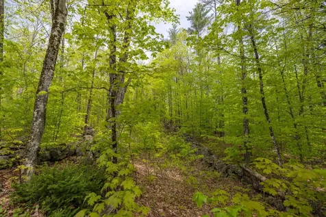 Map 7, Lot 8 Patterson Road Wilmot NH 03287