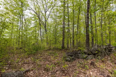 Map 7, Lot 8 Patterson Road Wilmot NH 03287
